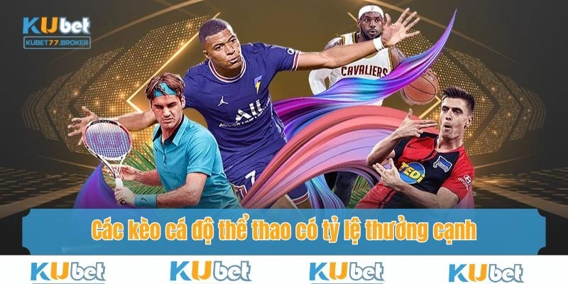 Các kèo cá độ thể thao có tỷ lệ thưởng cạnh tranh hàng đầu thị trường